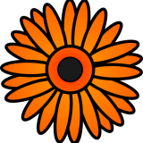 gerbera